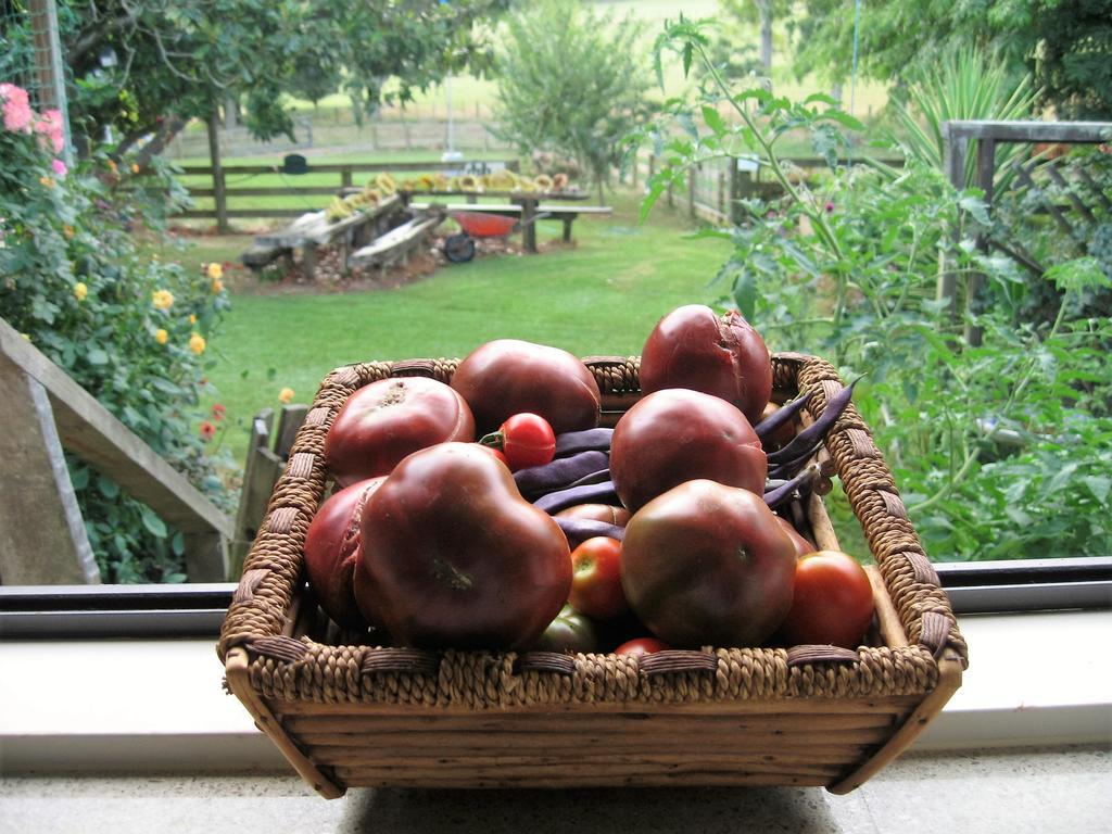 Miranda Orchard Cottage Exterior photo